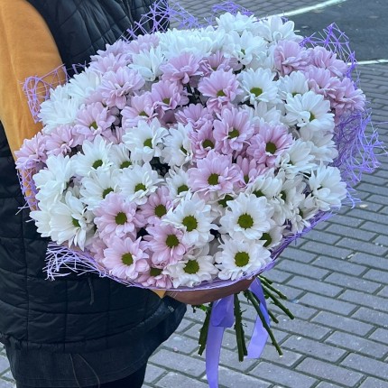 букет из розовой кустовой хризантемы - купить с доставкой в Новокузнецке