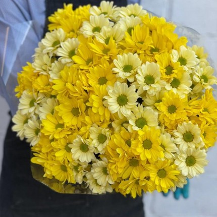 желтая кустовая хризантема - купить с доставкой в Новокузнецке